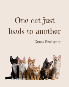 Famous quotes - Ernest Hemingway