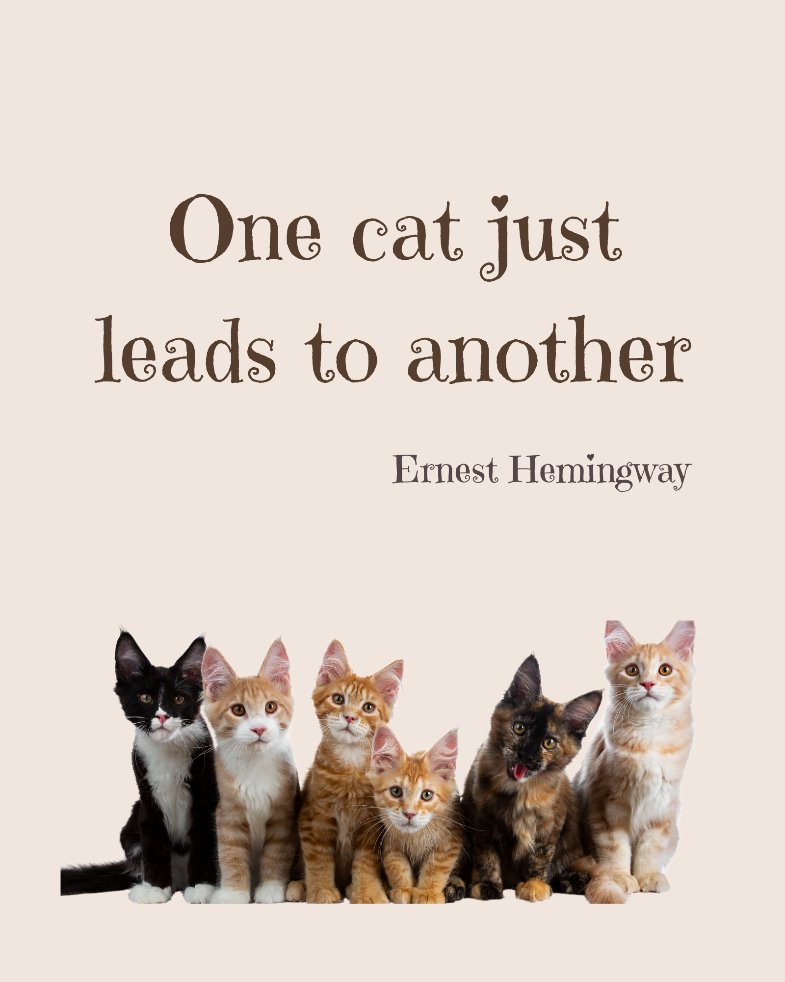Famous quotes - Ernest Hemingway Cat quote