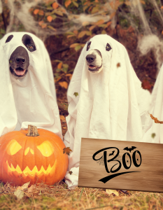 "Boo" Halloween Sign, Halloween SVG, Halloween Sticker